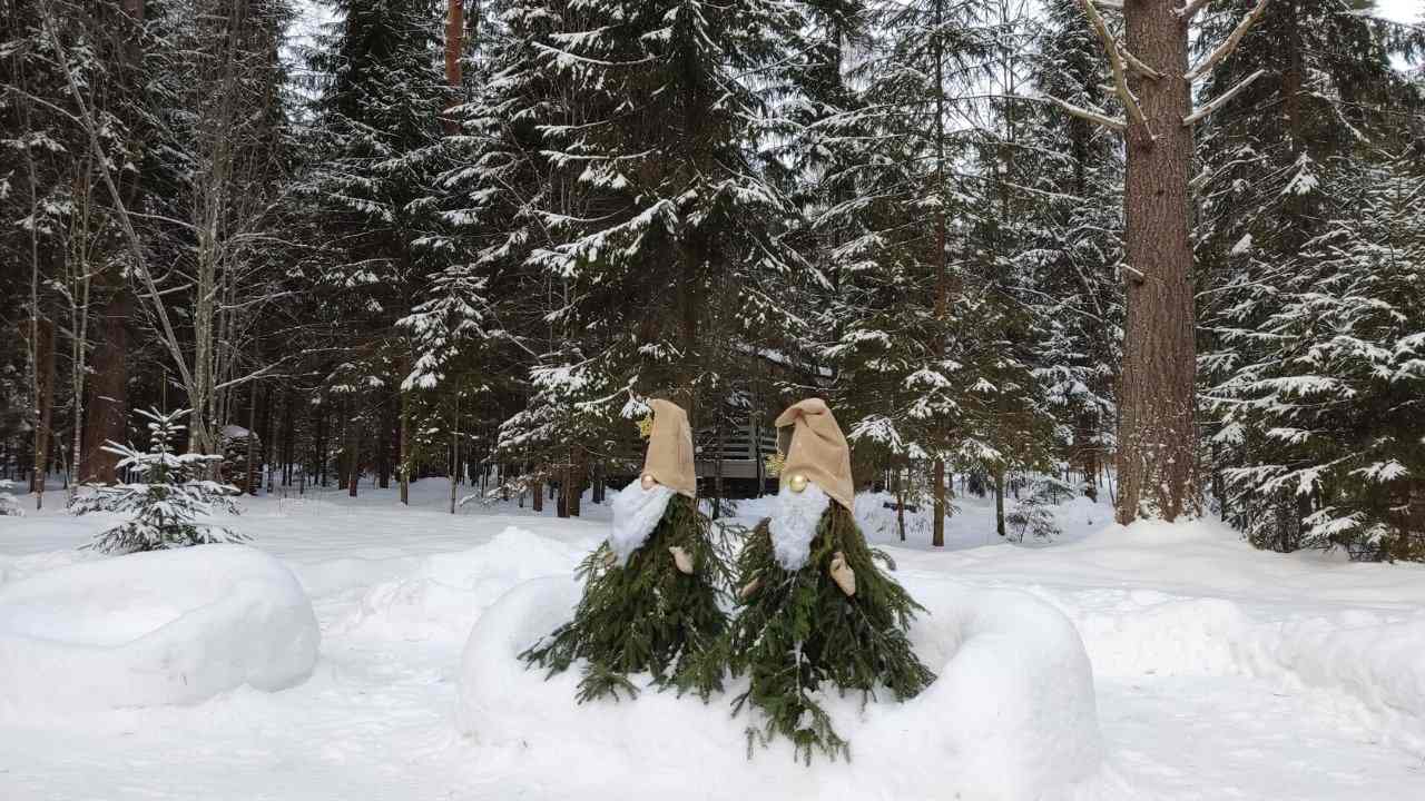 Дома для отпуска Сосновый бор - коттеджи на Селигере Селижарово