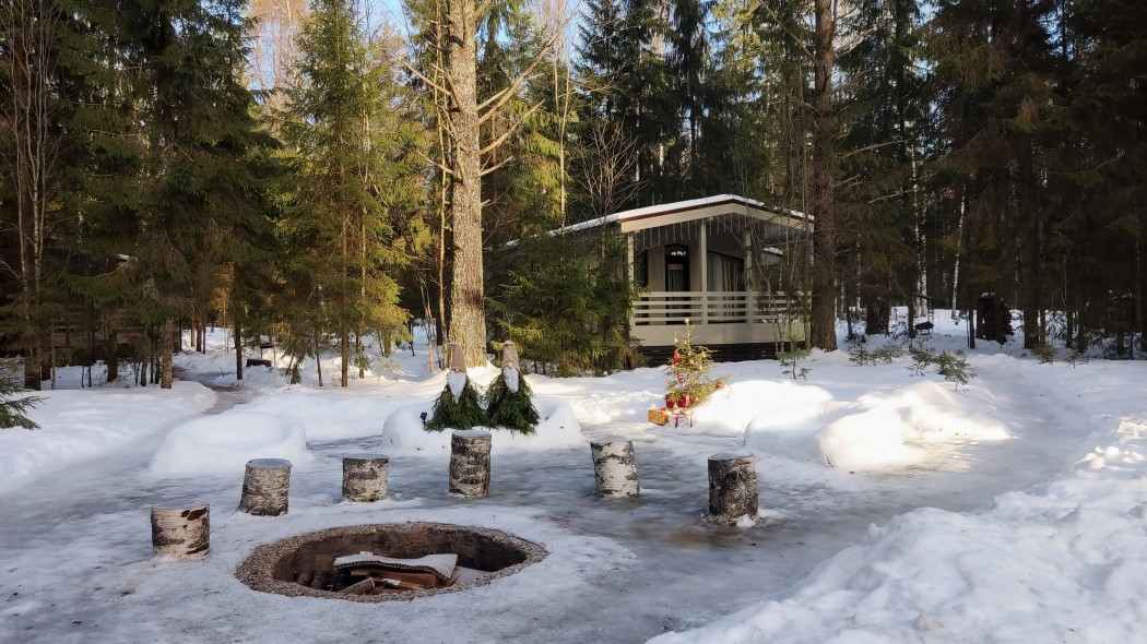 Дома для отпуска Сосновый бор - коттеджи на Селигере Селижарово